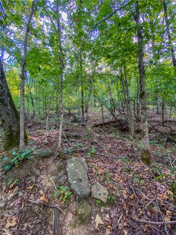 TBD Bug Scuffle Road, West Fork, AR 72774