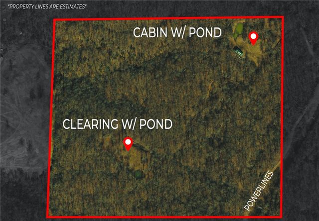 TBD Bug Scuffle Road, West Fork, AR 72774