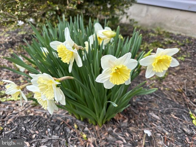 2357 AUTUMNWOOD DR, State College, PA 16801