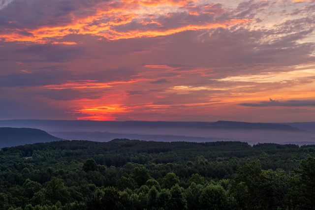 470 Lookout View Drive, Jasper, TN 37347
