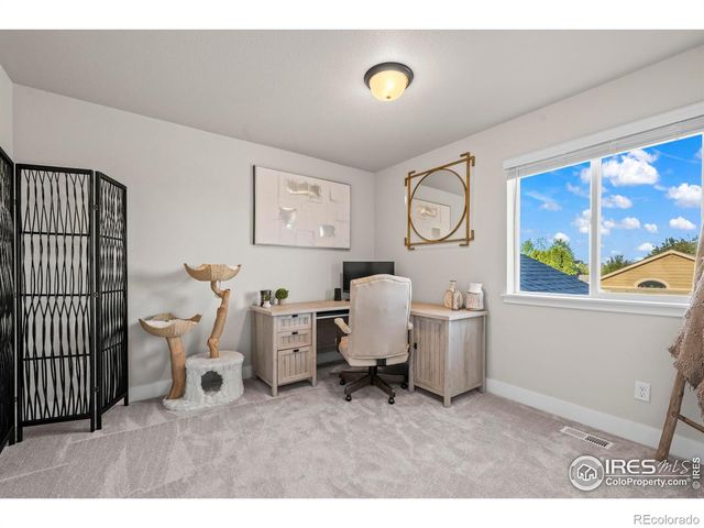 597 Red Jewel Drive, Windsor, CO 80550