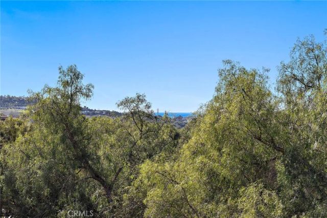 20 Via Paquete, San Clemente, CA 92673