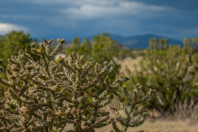 28 Old Road, Lamy, NM 87540