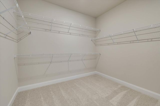 612 GROSBEAK LANE, Evans, GA 30809