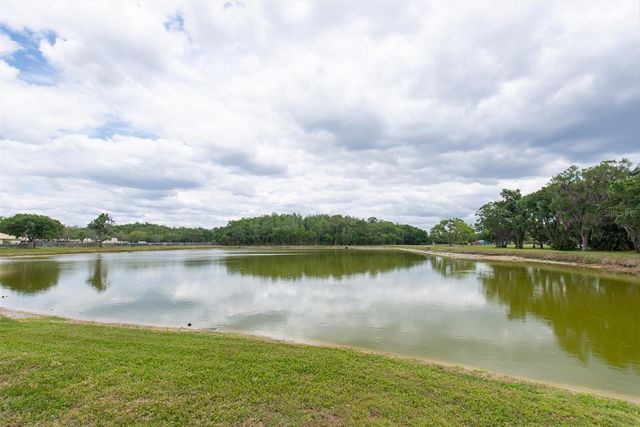 208 CUTLASS WAY, Oldsmar, FL 34677