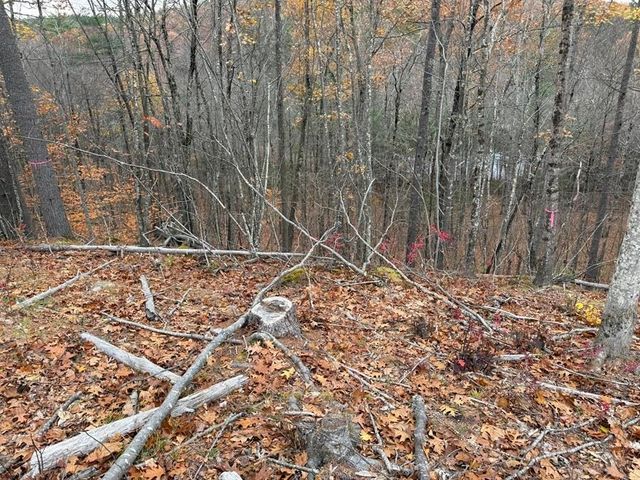 207-002 Washington Street, Barrington, NH 03825