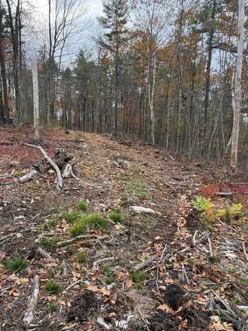 207-002 Washington Street, Barrington, NH 03825