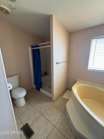 16611 S 202nd Drive, Buckeye, AZ 85326