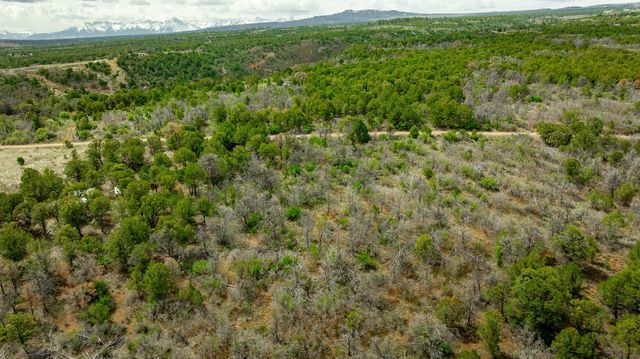 850 Canyon Ridge Road, Montrose, CO 81403