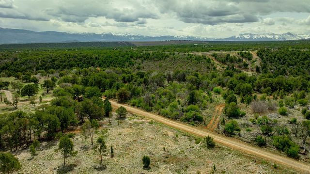 850 Canyon Ridge Road, Montrose, CO 81403