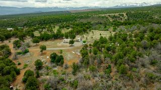 850 Canyon Ridge Road, Montrose, CO 81403
