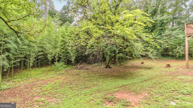 3896 Willow Ridge Court, Douglasville, GA 30135