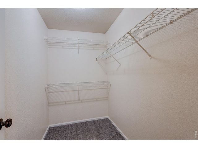 1309 S Dusk Dr, Milliken, CO 80543