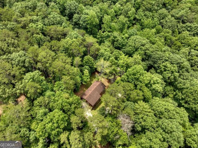 298 Spindrift Court, Ellijay, GA 30540
