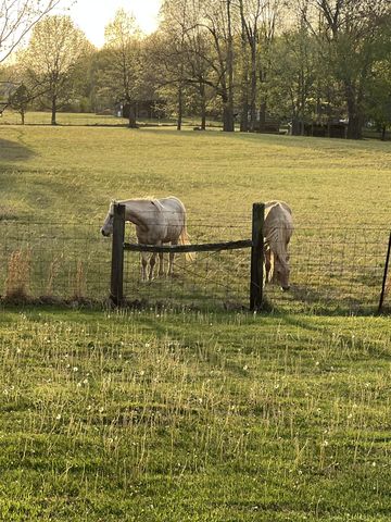 2650 Cook Rd, Woodlawn, TN 37191