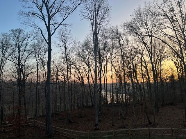 56 E Golden Island, Nancy, KY 42544