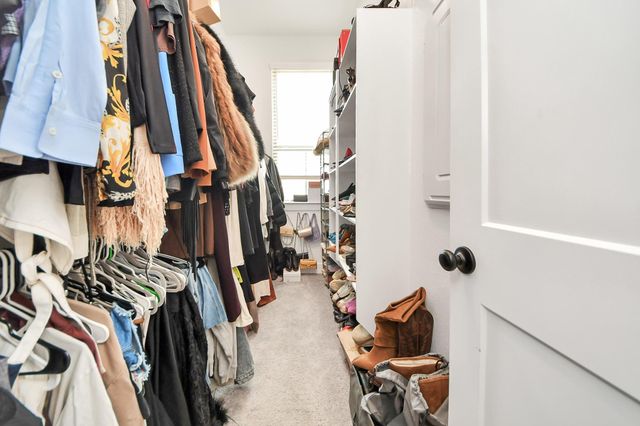 4942 Carranza Court, Manvel, TX 77583