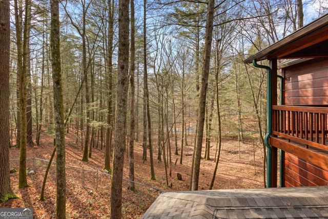 105 River Road, Cherry Log, GA 30522