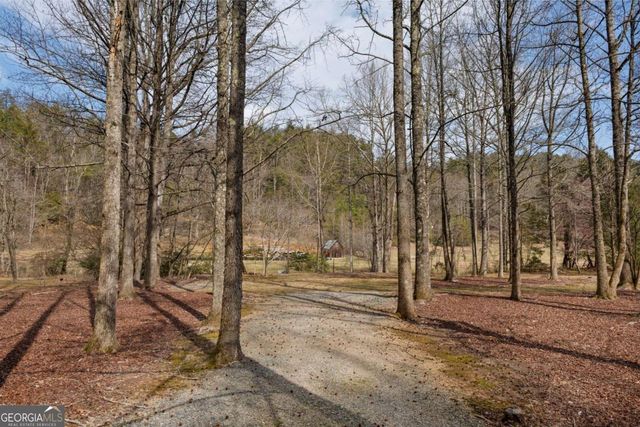 105 River Road, Cherry Log, GA 30522
