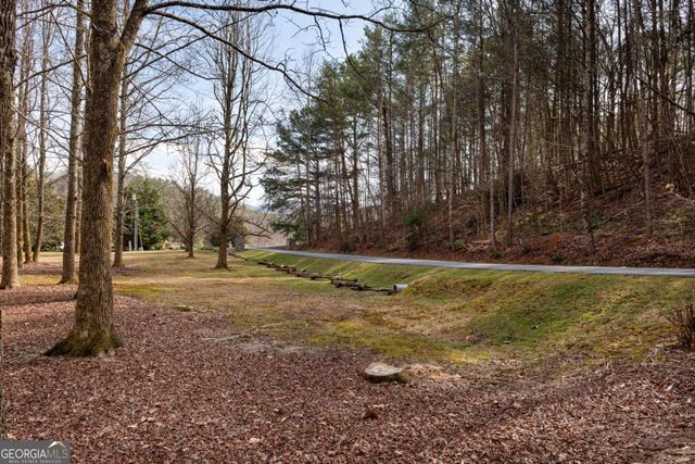 105 River Road, Cherry Log, GA 30522