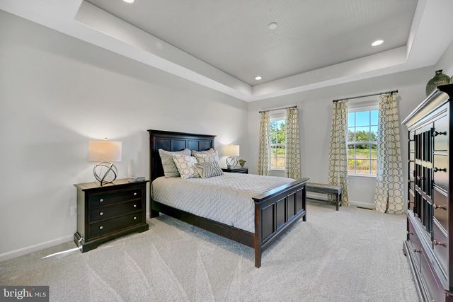 TBD PINE NEEDLE COURT, Conowingo, MD 21918