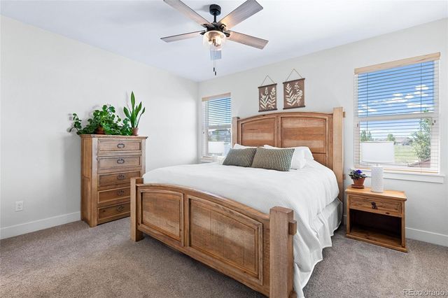 1631 Kit Street, Windsor, CO 80550