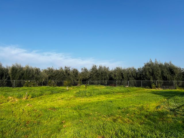 24101 Rd 224 224 A, Lindsay, CA 93247