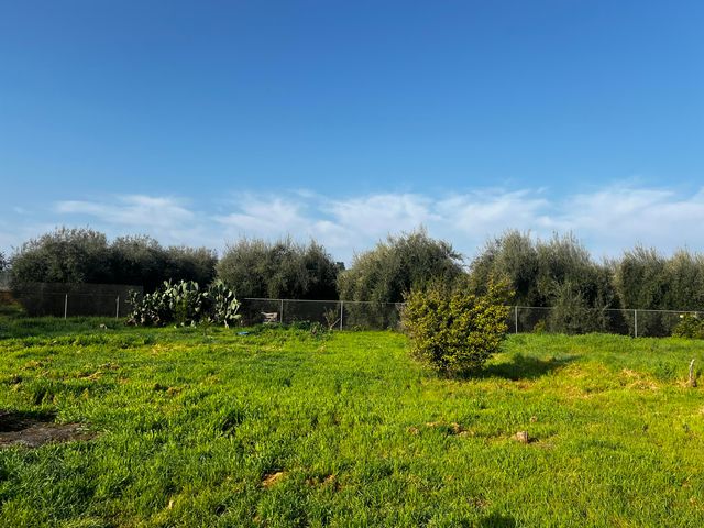 24101 Rd 224 224 A, Lindsay, CA 93247