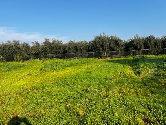 24101 Rd 224 224 A, Lindsay, CA 93247