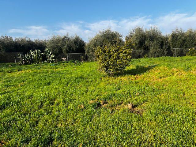 24101 Rd 224 224 A, Lindsay, CA 93247