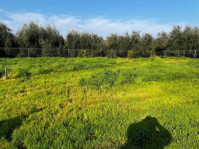 24101 Rd 224 224 A, Lindsay, CA 93247