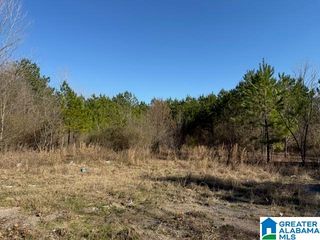 0 HOPEWELL ROAD, Bessemer, AL 35022
