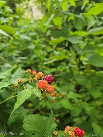 3996 Forester Boulevard, Auburn Hills, MI 48326