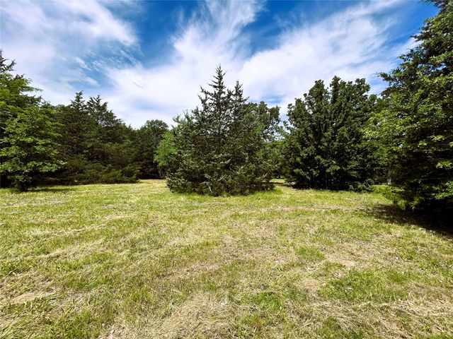 Lot 3 North Shore Road, Quinlan, TX 75474