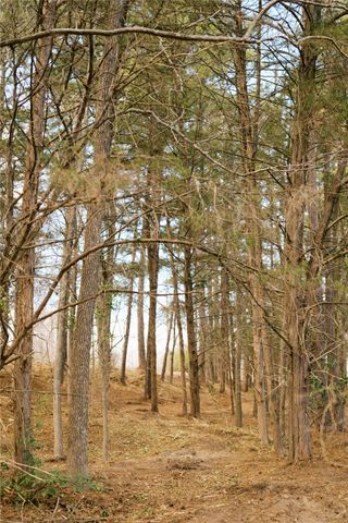 TBD Lot 3 County Road 2200, Mineola, TX 75773