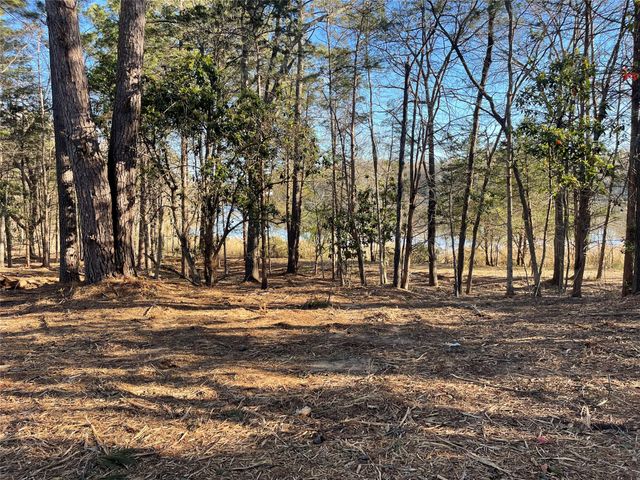 TBD Lot 3 County Road 2200, Mineola, TX 75773