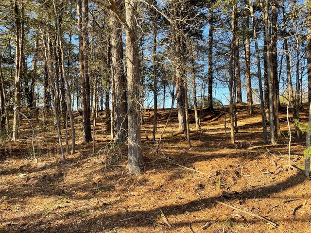 TBD Lot 3 County Road 2200, Mineola, TX 75773