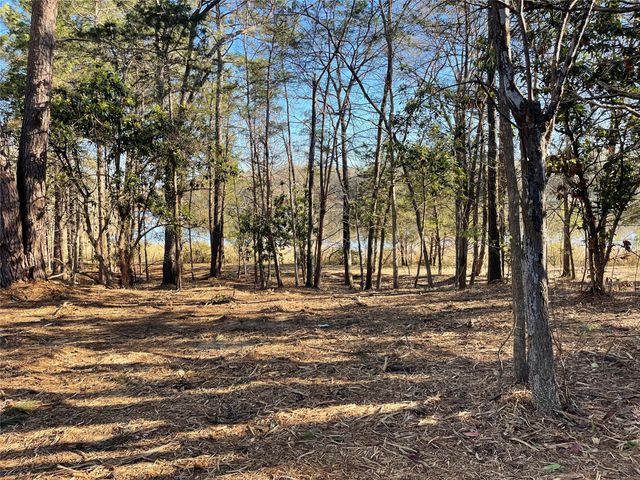 TBD Lot 3 County Road 2200, Mineola, TX 75773