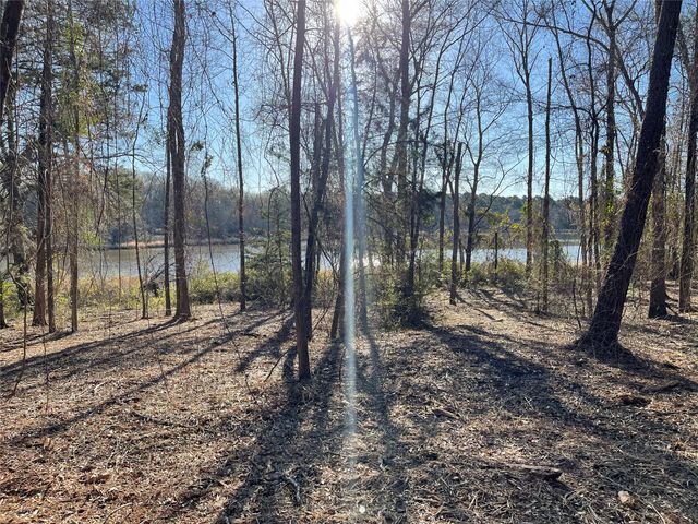 TBD Lot 3 County Road 2200, Mineola, TX 75773