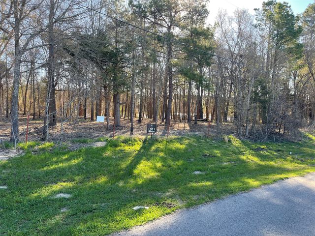 TBD Lot 3 County Road 2200, Mineola, TX 75773