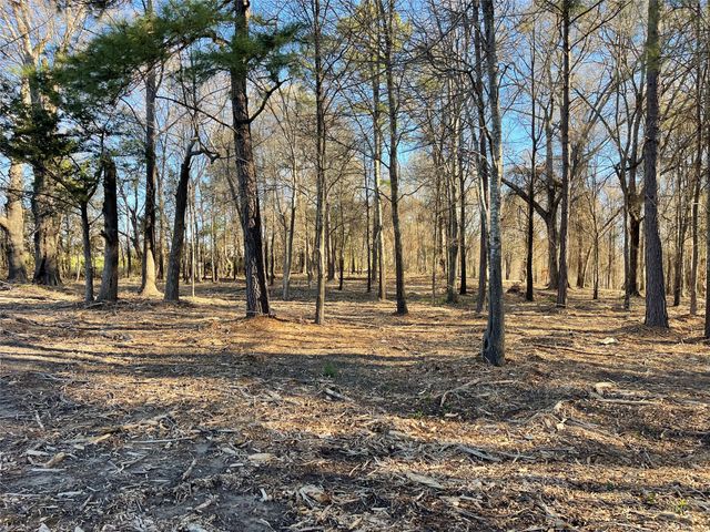 TBD Lot 3 County Road 2200, Mineola, TX 75773