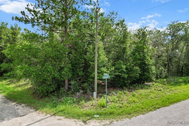 751 S Norma Avenue, Inverness, FL 34453