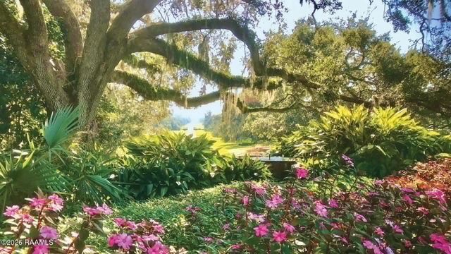 9917 Jefferson Island Road, New Iberia, LA 70560