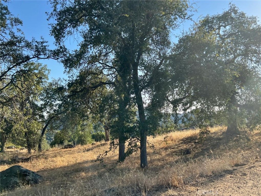 Image 11 of property listing at 46396 Redwing, Squaw Valley, CA 93675
