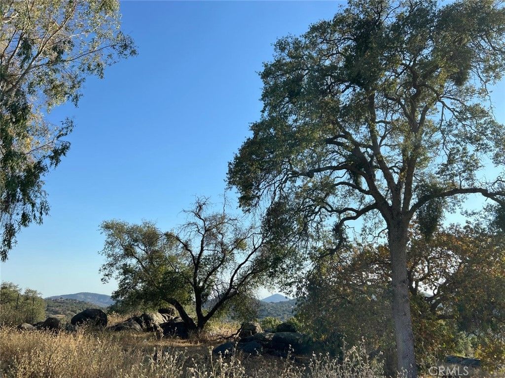 Image 30 of property listing at 46396 Redwing, Squaw Valley, CA 93675