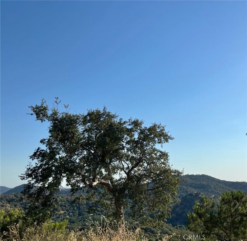 Image 42 of property listing at 46396 Redwing, Squaw Valley, CA 93675