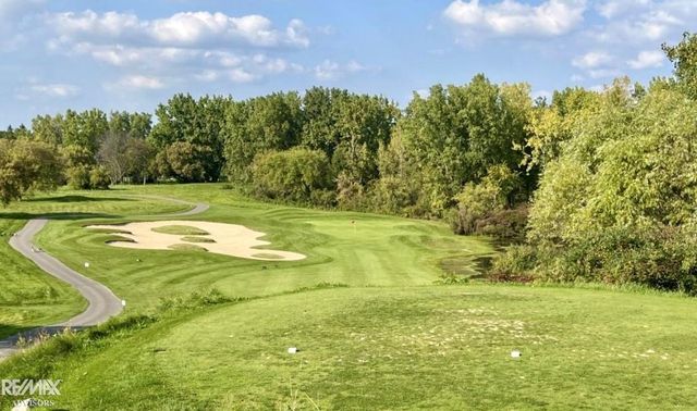 4338 Hamilton Way, Butman Twp, MI 48624