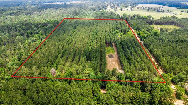 3625 County Road 4520, Warren, TX 77664
