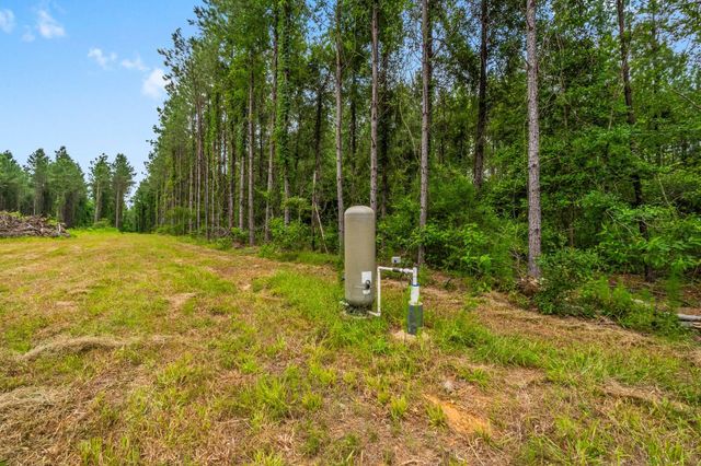 3625 County Road 4520, Warren, TX 77664