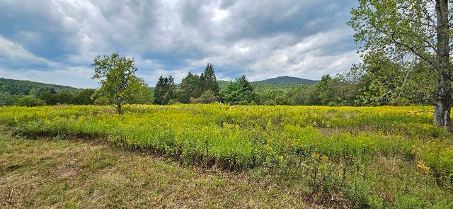 18 Casale Lane, Middletown, NY 12455